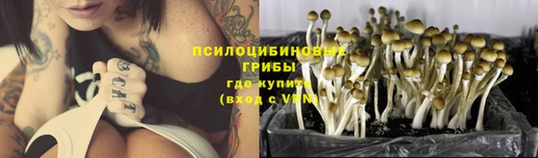 дурь Алексин