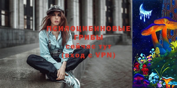 дмт Алзамай