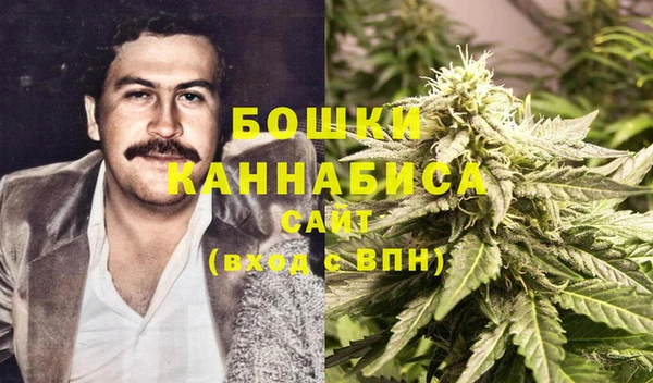дмт Алзамай