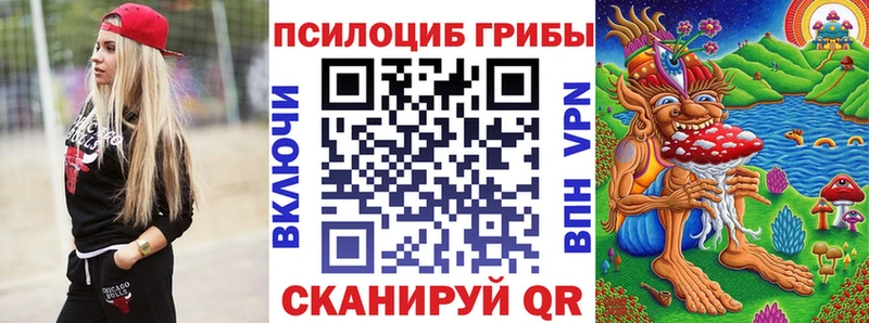 Псилоцибиновые грибы Psilocybe  даркнет сайт  Слюдянка 
